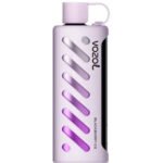 VOZOL GEAR SHISHA 25000 PUFFS