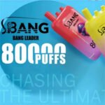 Bang Leader 80000 Puffs Triple Flavor - Image 3