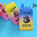 Bang Leader 80000 Puffs Triple Flavor - Image 4