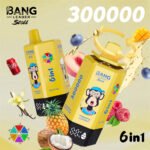 BANG LEADER 300K - Image 6