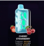 VOZOL RAVE 40000 Puffs Vape - Image 3