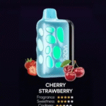 VOZOL RAVE 40000 Puffs Vape